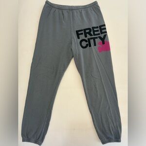 Free City Large Sweatpants in “Gray Art”